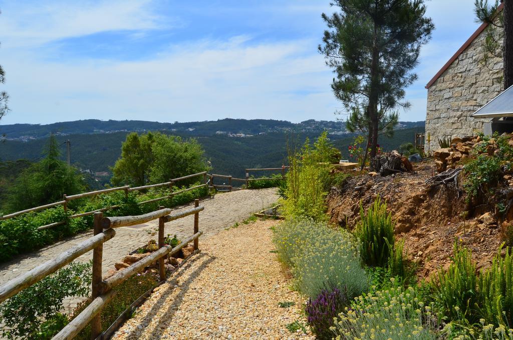 Casa de Férias De Paco Sever do Vouga